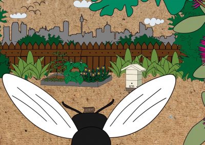 Keeping Chickens and Bees | North Sydney Council