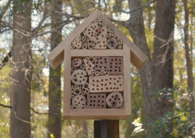 How to Make a Native Bee Hotel | Woombah Wellness Community Garden