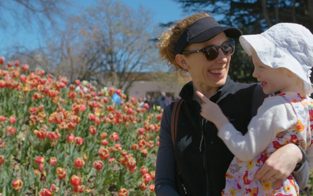 Tulip Time in Bowral | Destination NSW