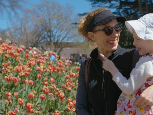 Tulip Time in Bowral | Destination NSW
