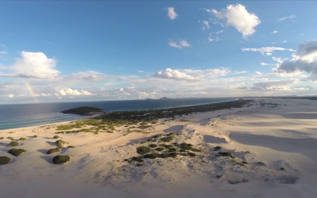 Bombah Point Eco Cottages