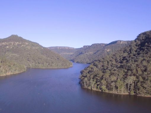 Visit Kangaroo Valley