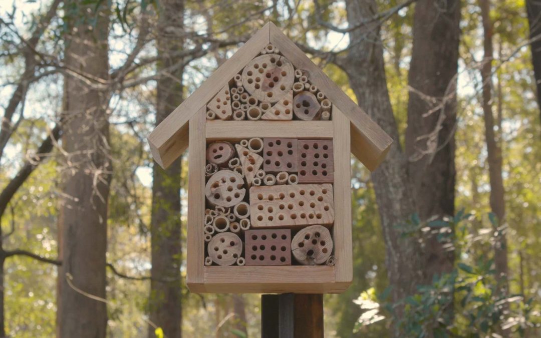 How to Make a Native Bee Hotel | Woombah Wellness Community Garden