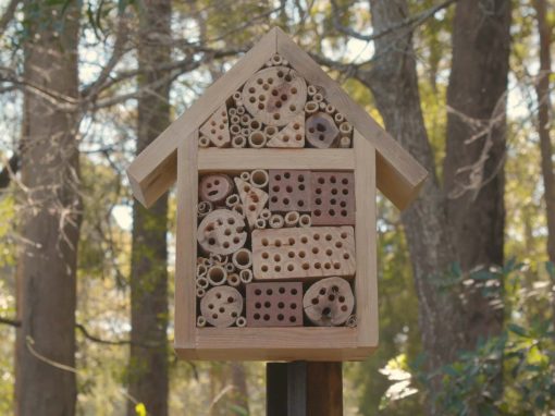 How to Make a Native Bee Hotel | Woombah Wellness Community Garden