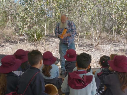 Bringing Back the Bush | Greater Sydney Parklands