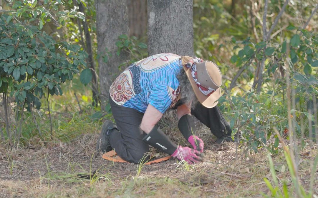 Daisy Yam Planting Day | Parramatta Park