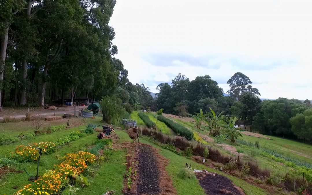 Solum Farm