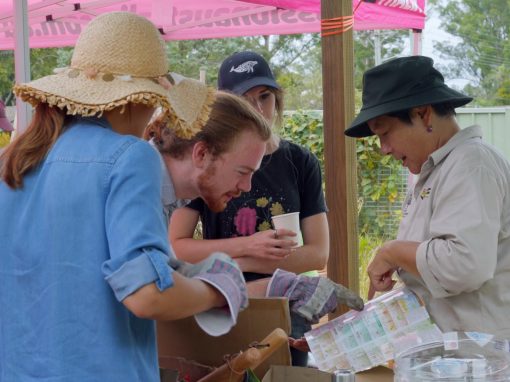 Barcoo Court Community Garden | Botanic Gardens of Sydney