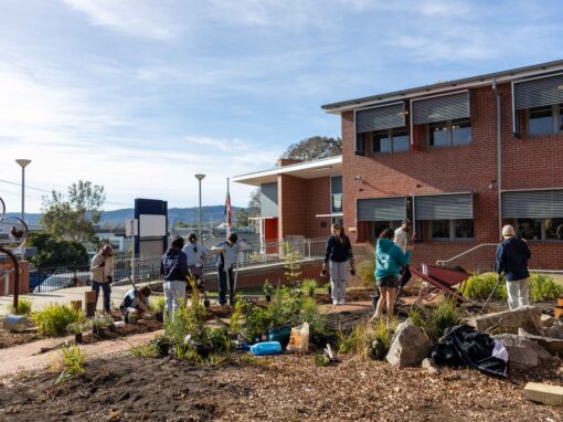 First Nation Garden in Schools | Community Greening